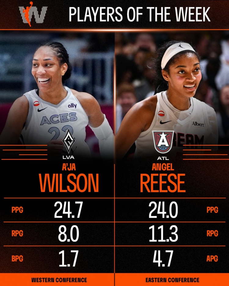 WNBA周最佳：王牌队威尔逊场均24.7+8 梦想队里斯场均24+11.3